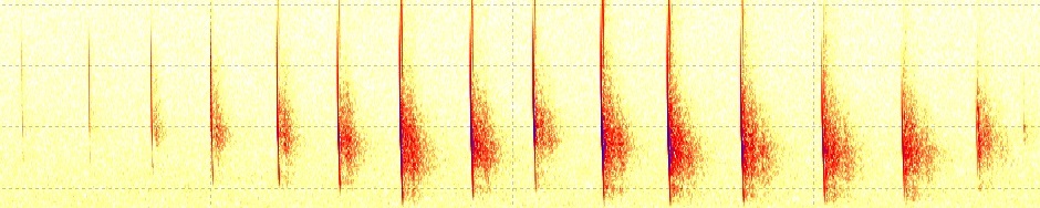 Swedish Bat Spectrograms