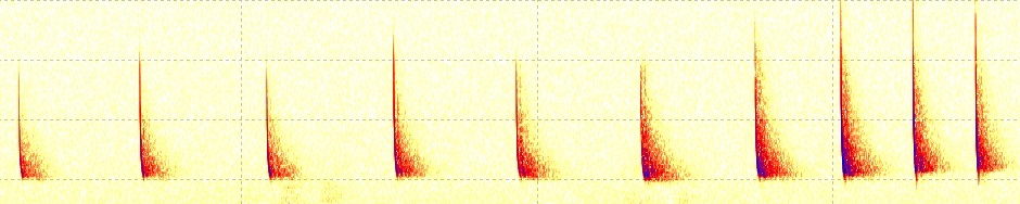 Swedish Bat Spectrograms