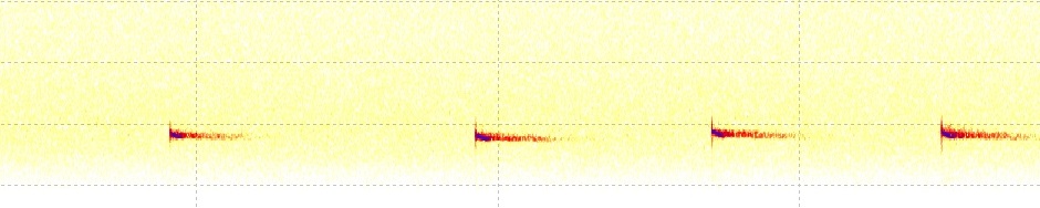 Swedish Bat Spectrograms